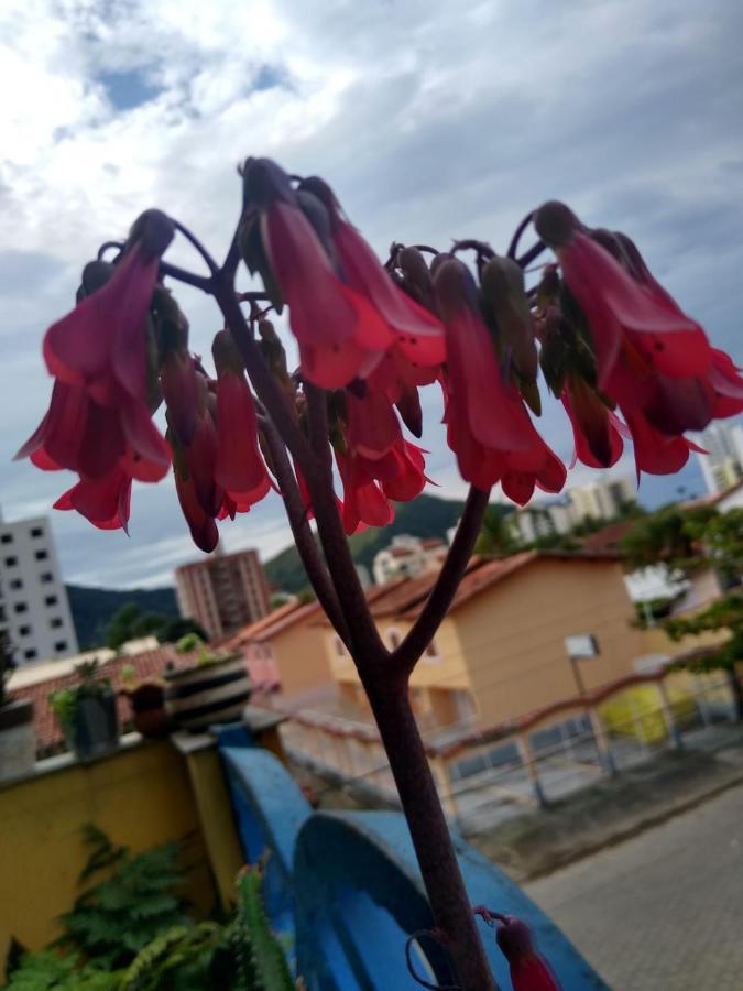 Apartamento Com Piscina Na Martim De Sa Caraguatatuba Eksteriør billede